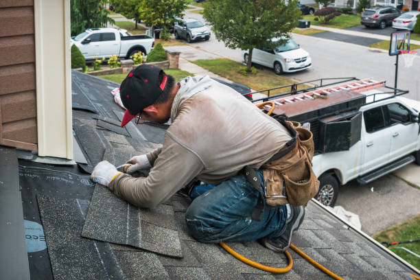 Professional Storm Damage Roof Repair technician working in Carrollton, IL